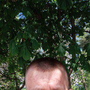 ���������� ���������, ���� ������� �������, 35 ���, ������������ ��� ������, ����� � ���������, c�������� ���������