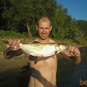 ���������� �����, ���� ������� ������, 46 ���, ������������ ��� ������