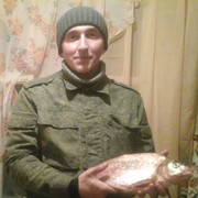  ,   GYNi, 32 ,   