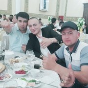  -,   BOBIR, 33 ,   ,   , c 