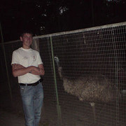 ���������� �������, ���� ������� Oktavian, 33 ����, ������������ 