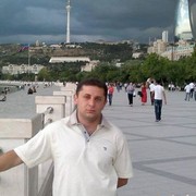  ,  Teddy bear, 41