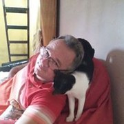  ,   Wood, 64 ,   ,   , c 