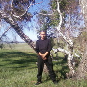 ���������� ������, ���� ������� ����, 37 ���, ������������ ��� ����� � ���������, c�������� ���������