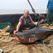 �� ������)