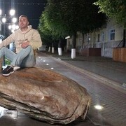 ���������� �������, ���� ������� ������, 41 ���, ������������ ��� ������, ����� � ���������