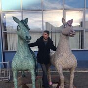 ���������� �������, ���� ������� �����, 38 ���, ������������ ��� ������, ����� � ���������, c�������� ���������, ���������