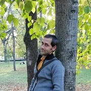  --,   Dima, 41 ,   ,   
