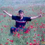  ,  Zolotoy, 43