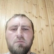  -,  , 41