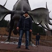  ,   , 37 ,   ,   , 