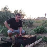  ,   , 33 ,   ,   , 
