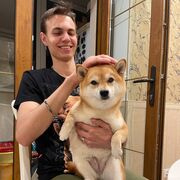 ���������� ������, ���� ����� ����, 21 ���, ������������ ��� ������, ����� � ���������