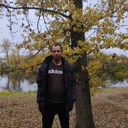  ,   , 41 ,   ,   