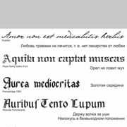 ���������� ���������, ���� ������� �����, 33 ����, ������������ ��� ������, ����� � ���������