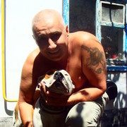 ���������� ��������, ���� ������� ��������, 65 ���, ������������ ��� ������