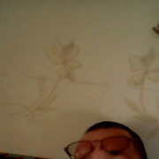 ���������� ��������, ���� ������� ����, 55 ���, ������������ ��� ������