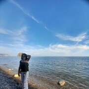  ,   , 42 ,   c 
