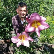 ���������� ����������, ���� ������� Roman, 45 ���, ������������ ��� ������, ����� � ���������