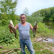 ���������� ����������, ���� ������� ������, 38 ���, ������������ ��� ������, ����� � ���������