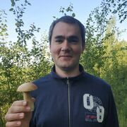 ���������� ������, ���� ������� ��������, 41 ���, ������������ ��� ������, ����� � ���������