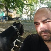  ,   Gri, 39 ,   