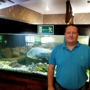  ,   , 43 ,     