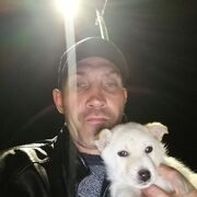 ���������� �����, ���� ������� �������, 42 ����, ������������ ��� c�������� ���������, ���������