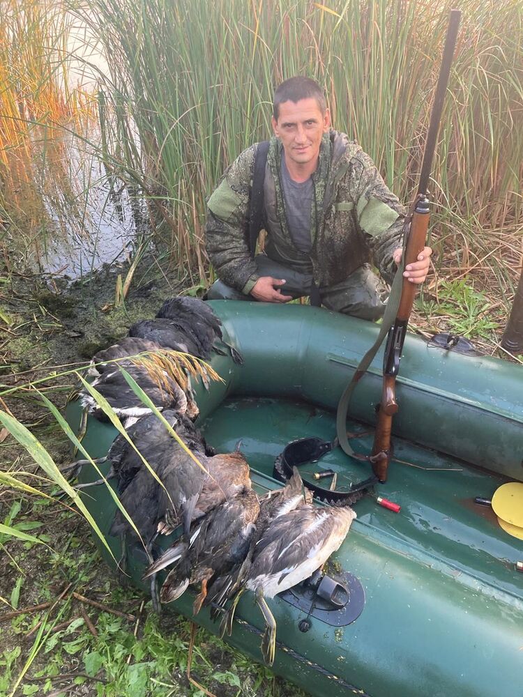 ���������� ������, ���� ������� A�������, 43 ����, ������������ ��� ������, ����� � ���������, c�������� ���������