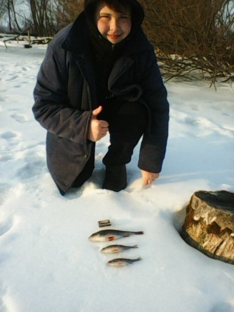 ���� 31593669 ������� �����, 26 ���, ���� ���������� � �����