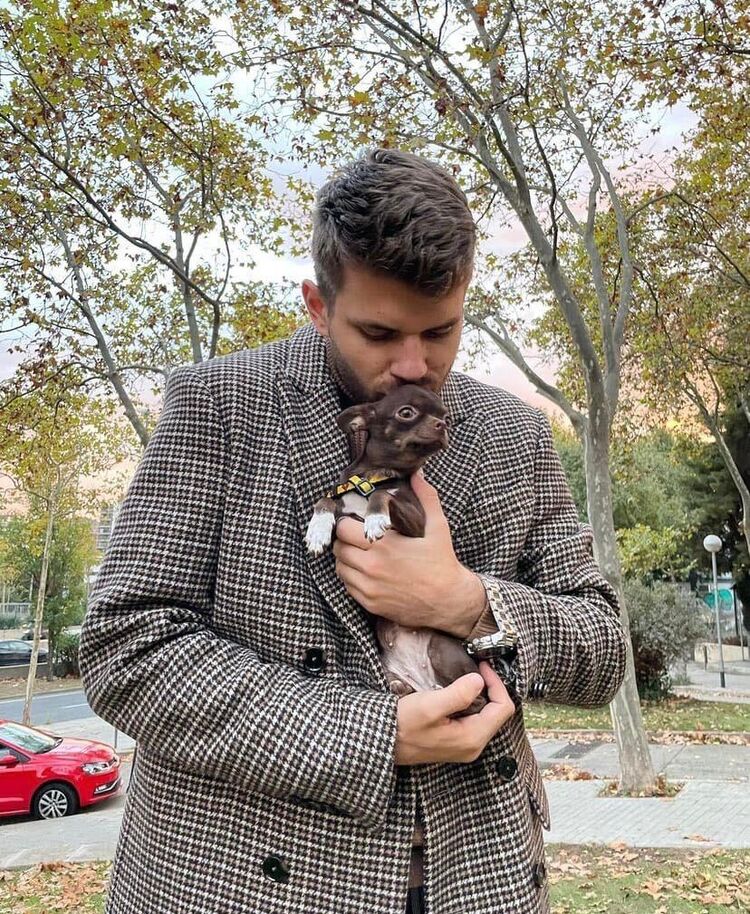 ���������� ������, ���� ������� �����, 42 ����, ������������ ��� ����� � ���������, c�������� ���������