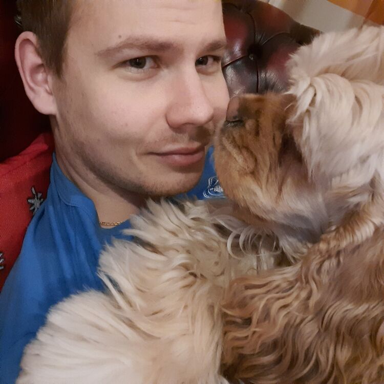 ���� 24986969 ������� ����, 27 ���, ���� ���������� � �����������