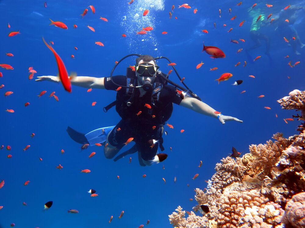 ���������� ������, ���� ������� �������, 31 ���, ������������ ��� ������, ����� � ���������