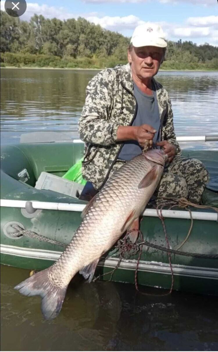  ,   , 61 ,     