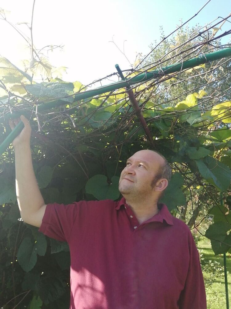 ���������� ������, ���� ������� ���������, 46 ���, ������������ ��� ������, ����� � ���������, c�������� ���������, ���������