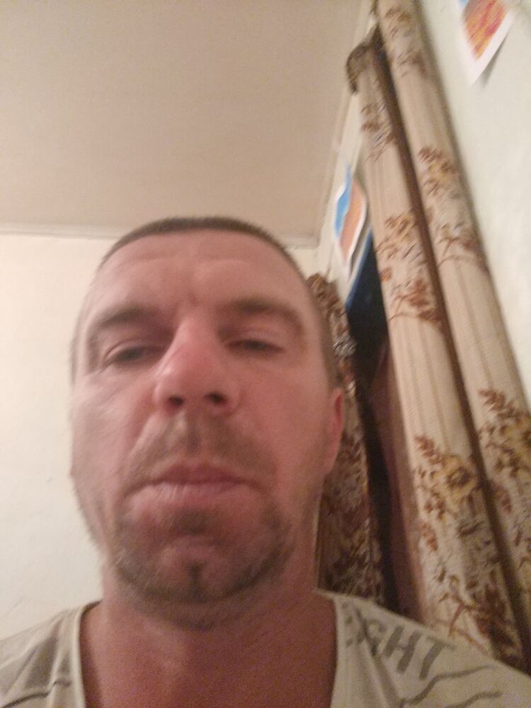 43438299  , 38 ,    