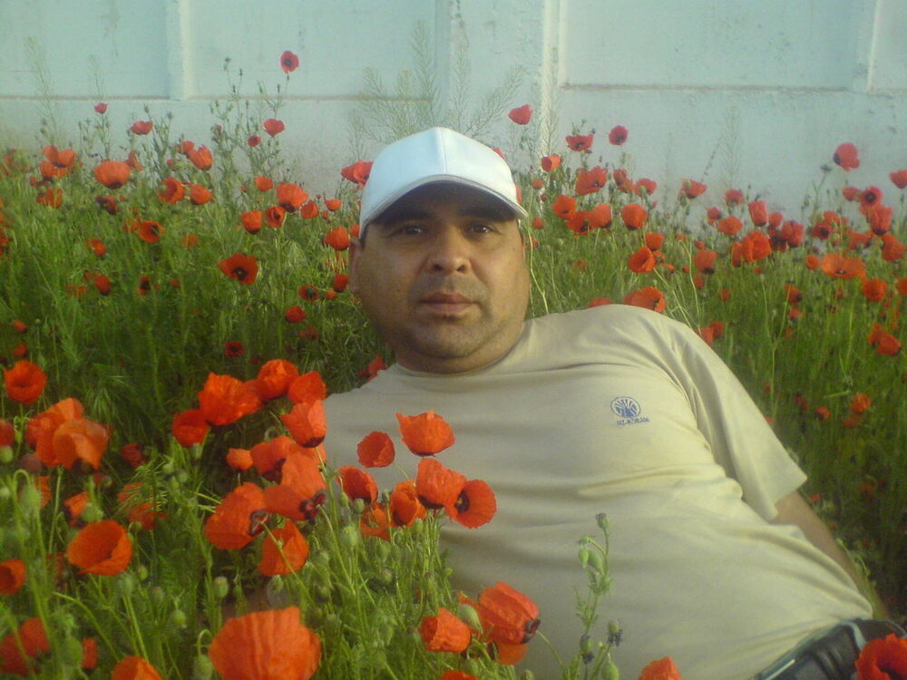  4122559  Sardor, 55 ,    