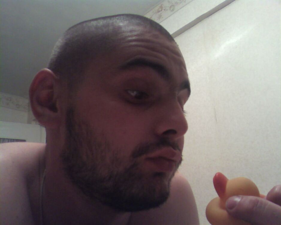 ���� 25757359 ������� Panda, 42 ����, ���� ���������� � ����������