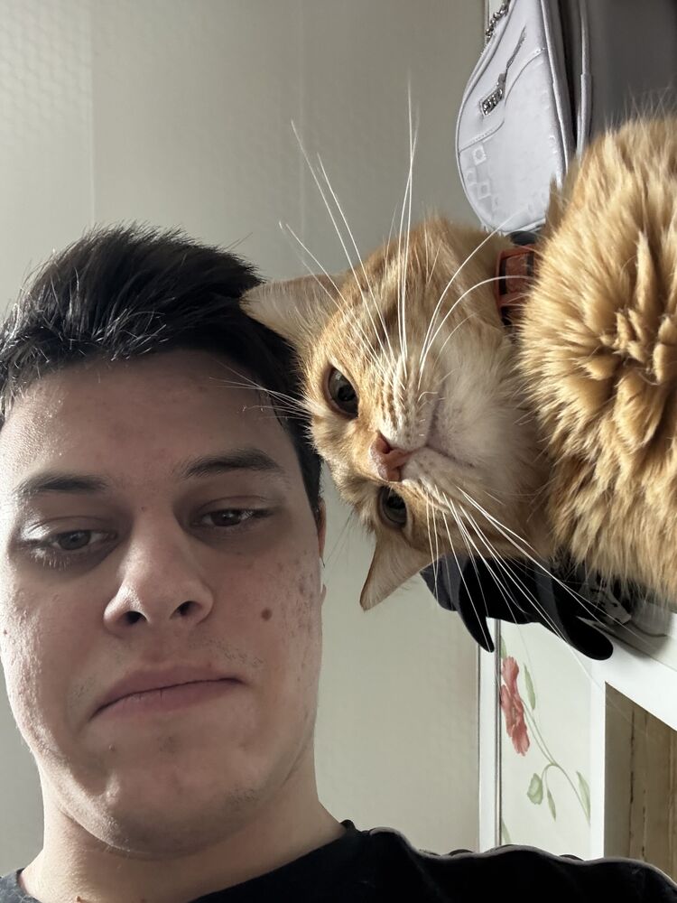 ���� 55546459 ����� JENIA, 21 ���, ���� ���������� � �������