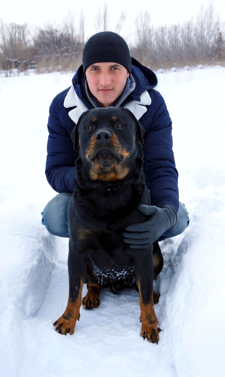 ���� 31881779 ������� ����, 33 ����, ���� ���������� � ��������