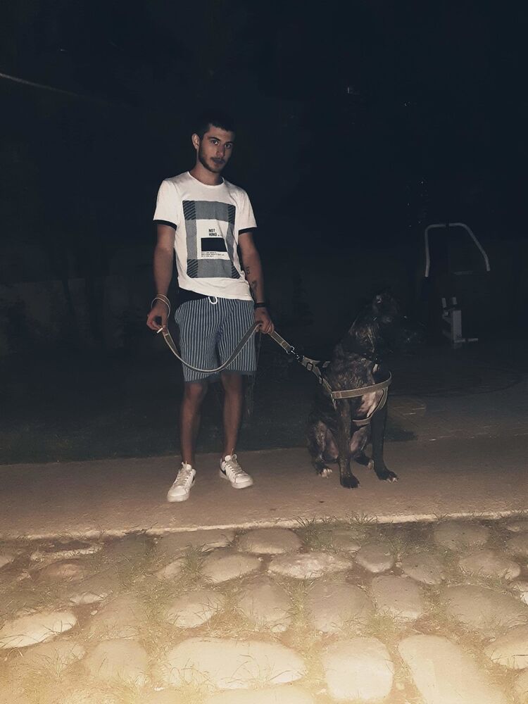 ���������� �������, ���� ����� Datoo, 25 ���, ������������ ��� ������, ����� � ���������, c�������� ���������