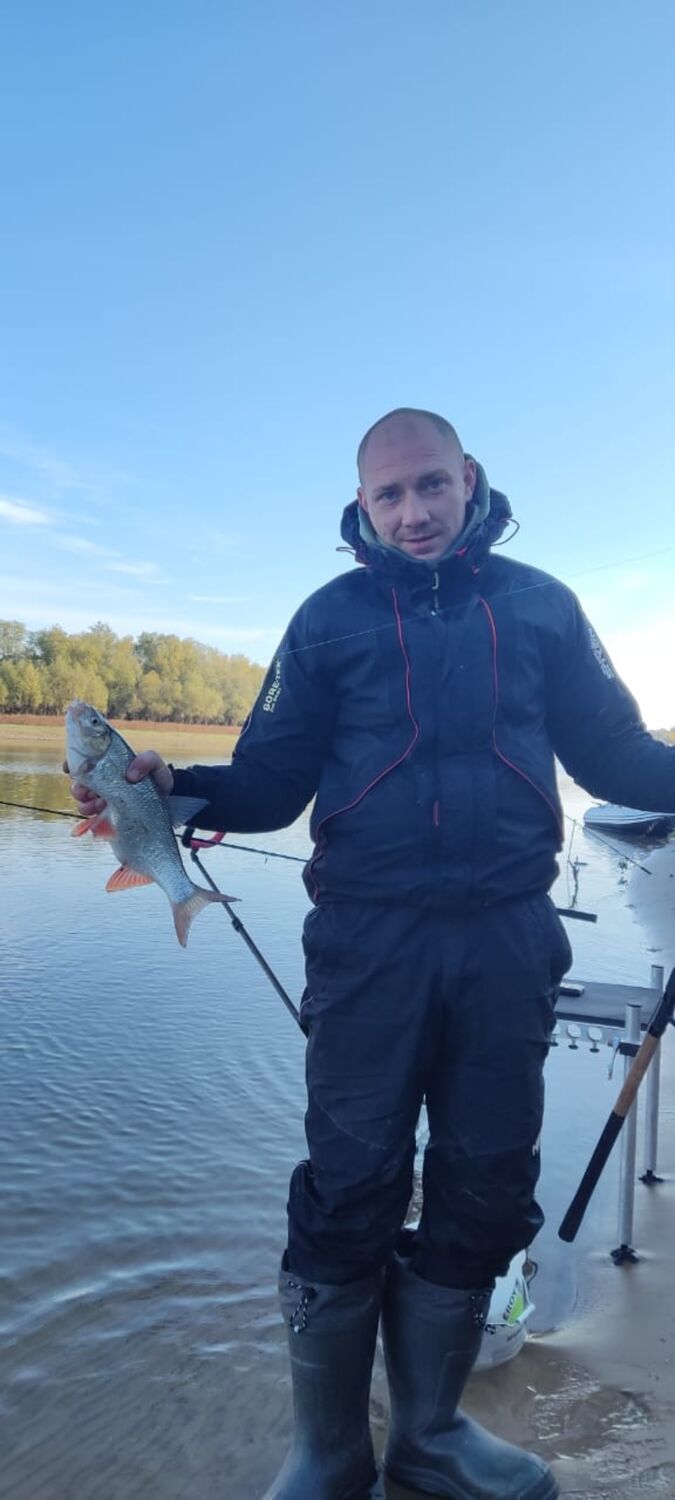 ���������� ������, ���� ������� �����, 38 ���, ������������ ��� ����� � ���������, c�������� ���������