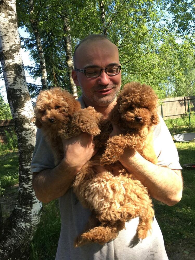 ���� 28604749 ������� �����, 42 ����, ���� ���������� � ������