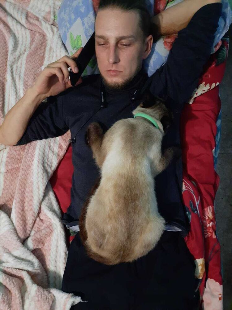 ���������� �����-�������, ���� ������� ��������, 35 ���, ������������ ��� c�������� ���������