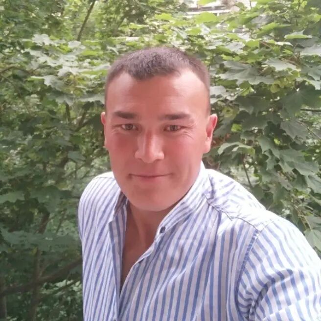  -,   , 37 ,  