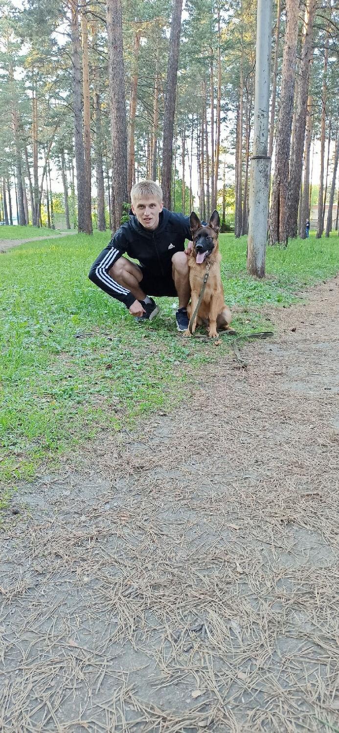 ���� 49454019 ������� ���������, 26 ���, ���� ���������� � ����-����