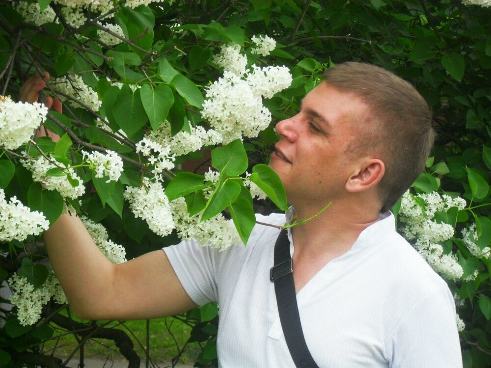  -,   , 41 ,   ,   , c 