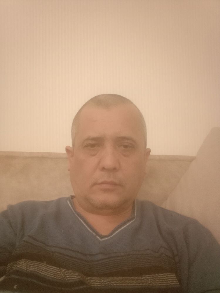  40368909  , 44 ,    