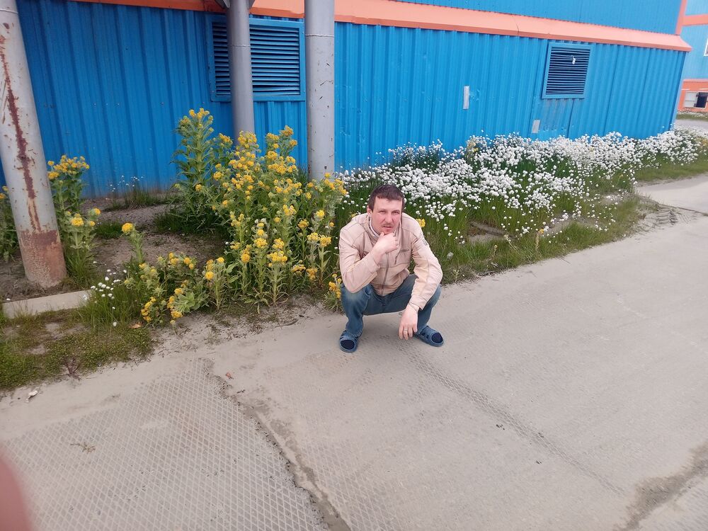  36671449  , 41 ,    