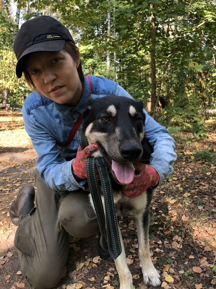 ���� 46042949 ������� ���������, 46 ���, ���� ���������� � ������